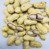 WhatsApp Image 2026-05-28 at 9.34.19 AM LongYan Wet-Roasted Red Skin Peanuts
