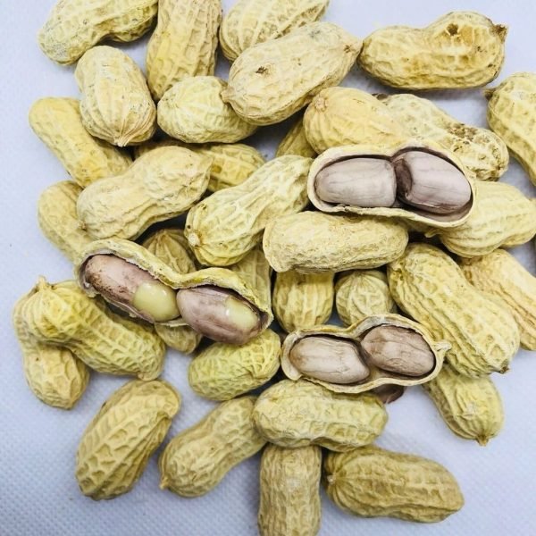 WhatsApp Image 2026-05-28 at 9.34.19 AM LongYan Wet-Roasted Red Skin Peanuts