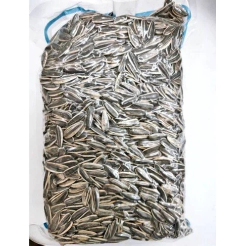 1kg Premium Kin Sang Large Original Sunflower Seeds